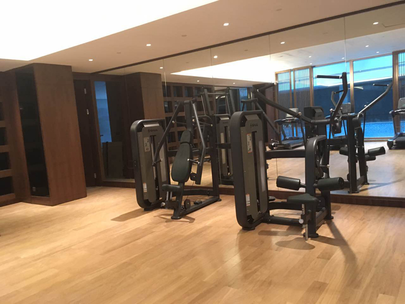 酒店健身房器材,室內(nèi)健身器材,高端商用健身器材-廣西快盈VIII體育健身器材有限公司