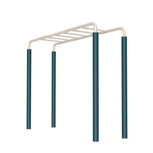 戶外健身器材-平行天梯