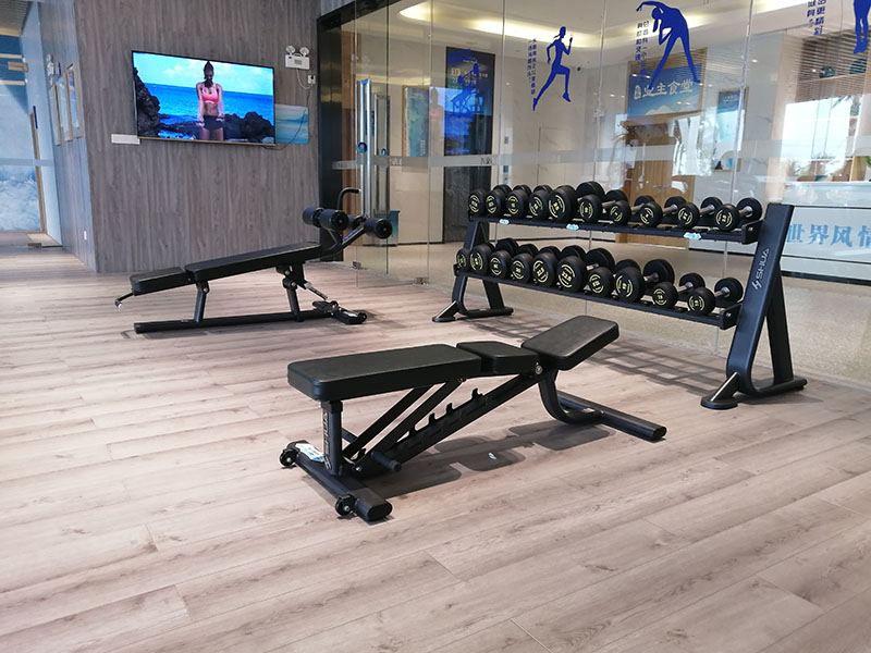 室內(nèi)健身器材-自由力量器械