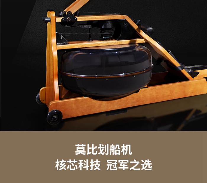 室內(nèi)健身器材-莫比劃船器