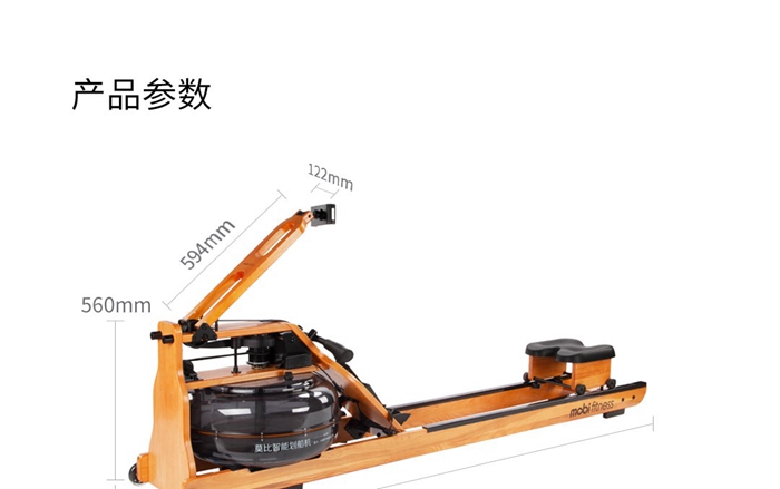 室內(nèi)健身器材-莫比劃船器