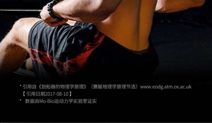 室內(nèi)健身器材-莫比劃船器