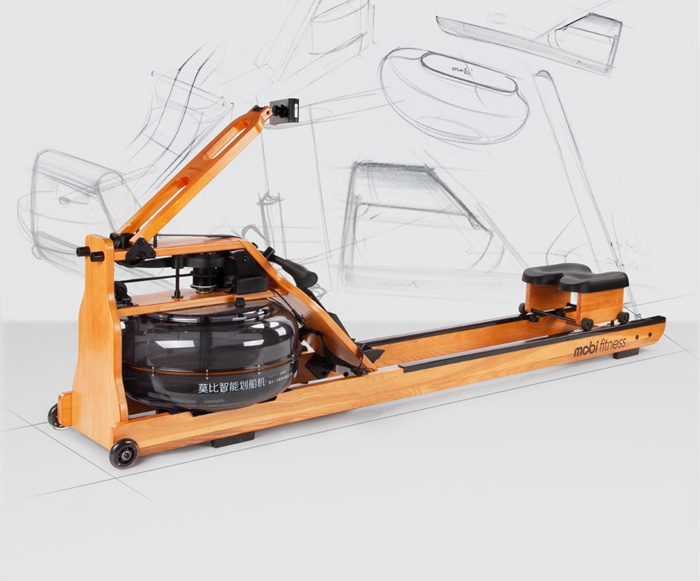 室內(nèi)健身器材-莫比劃船器