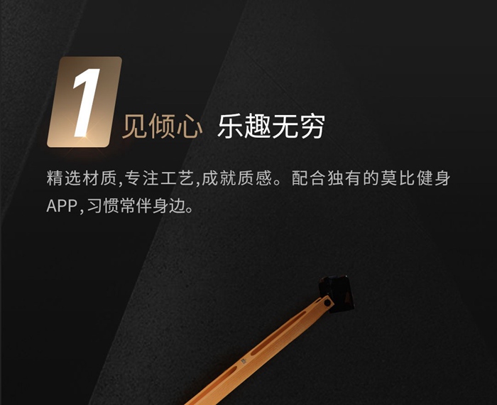 室內(nèi)健身器材-莫比劃船器