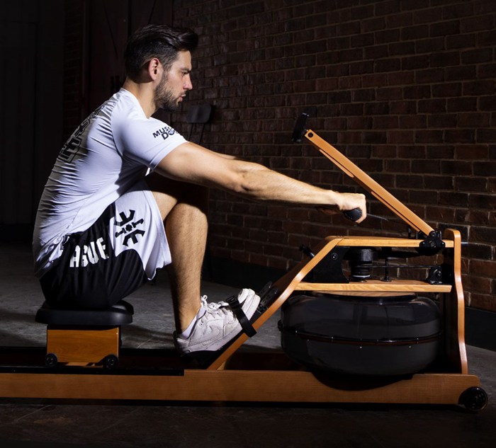 室內(nèi)健身器材-莫比劃船器