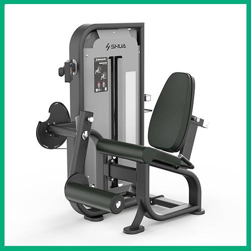 室內(nèi)健身器材-踢腿訓(xùn)練器SH-G6810T