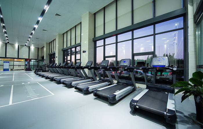 室內(nèi)健身器材-快盈VIIIV9跑步機(jī) 室內(nèi)健身器材-快盈VIIIV9跑步機(jī)