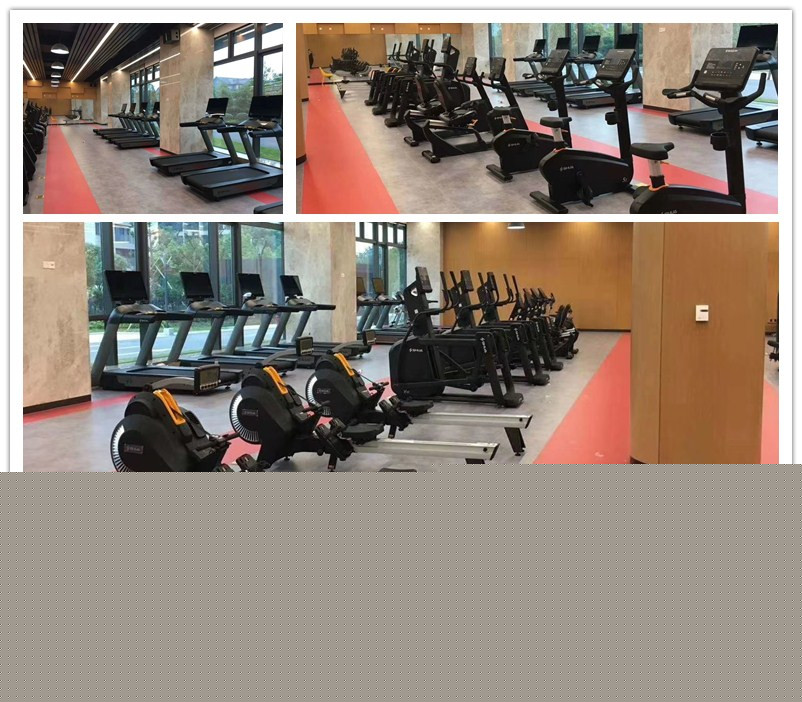 室內(nèi)健身器材-單位健身房器材
