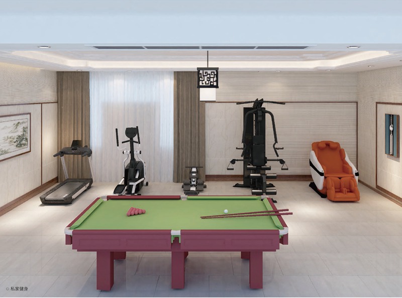 廣西健身器材廠家--私家健身房器材解決方案 廣西健身器材廠家--私家健身房器材解決方案