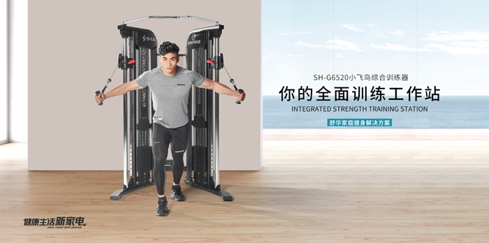 快盈VIII健身器材-小飛鳥綜合訓(xùn)練器SH-G6520 快盈VIII健身器材-小飛鳥綜合訓(xùn)練器SH-G6520