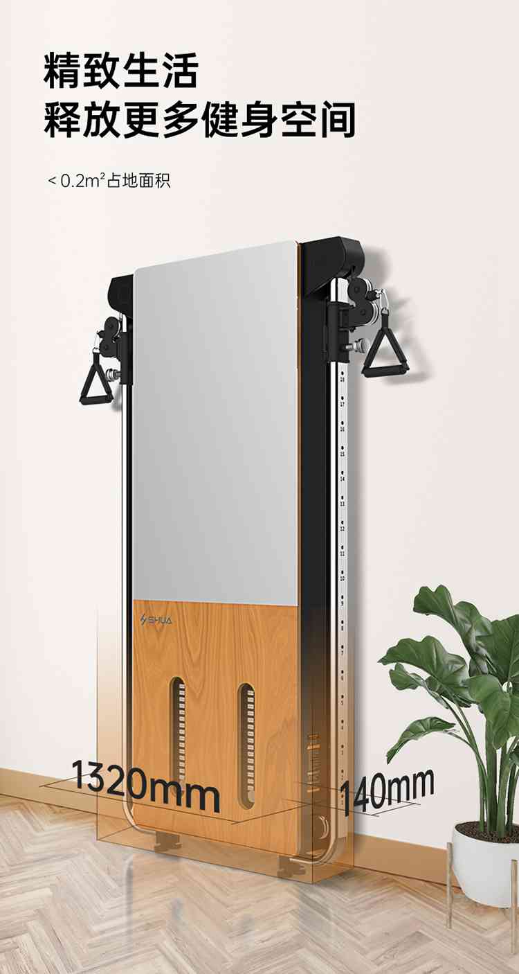 SH-G699 壁掛式拉繩訓練器-廣西快盈VIII體育健身器材有限公司