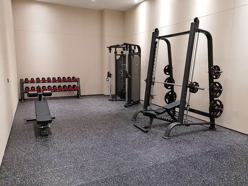 酒店健身房器材,室內(nèi)健身器材,高端商用健身器材-廣西快盈VIII體育健身器材有限公司