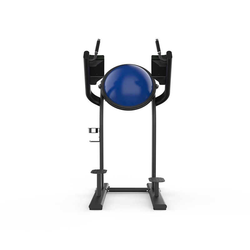 SH-G6886 提腿訓(xùn)練器