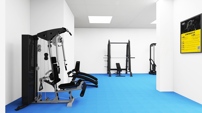 企事業(yè)單位健身房-力量器械