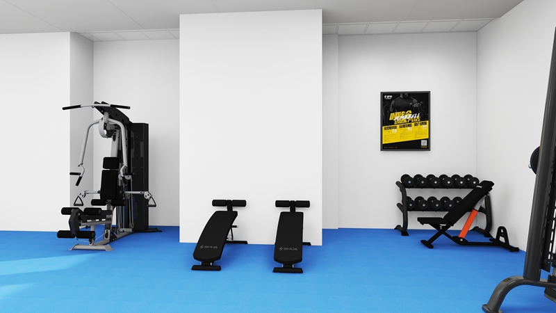 企事業(yè)單位健身房-力量器械