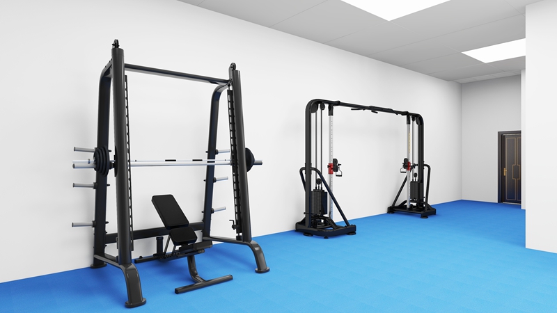 企事業(yè)單位健身房-力量器械