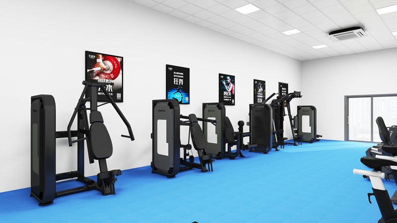 企事業(yè)單位健身房-力量器械