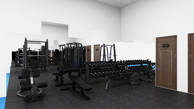企事業(yè)單位健身房-力量器械