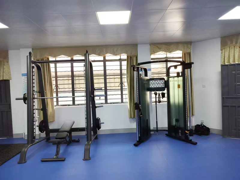 企事業(yè)單位健身房-力量器械